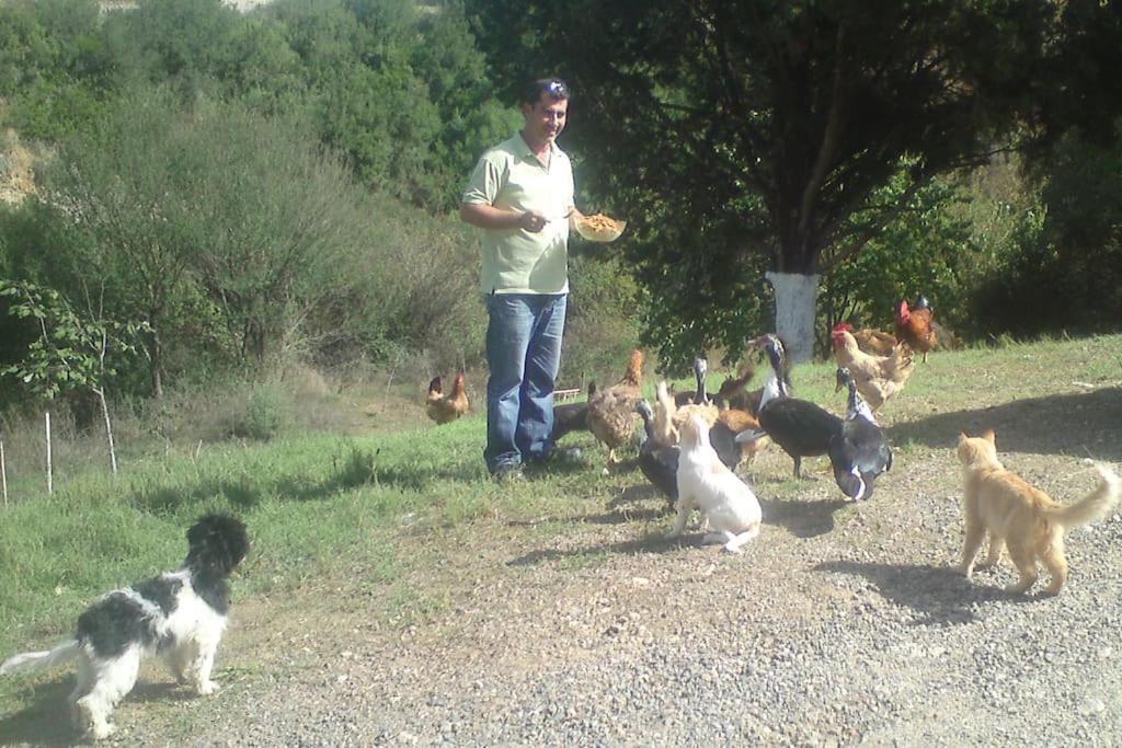 Lil' Fam Farm - 10min בית נופש