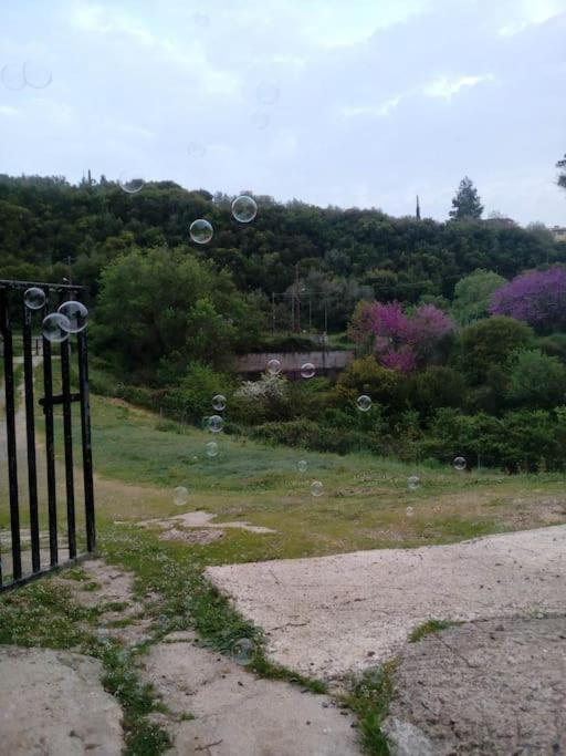 Lil' Fam Farm - 10min בית נופש Ágios Ioánnis
